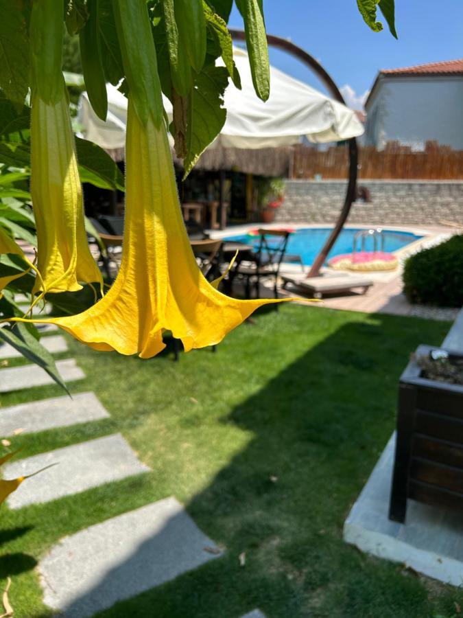 Pupa Alacati Butik Otel Чешме Екстер'єр фото