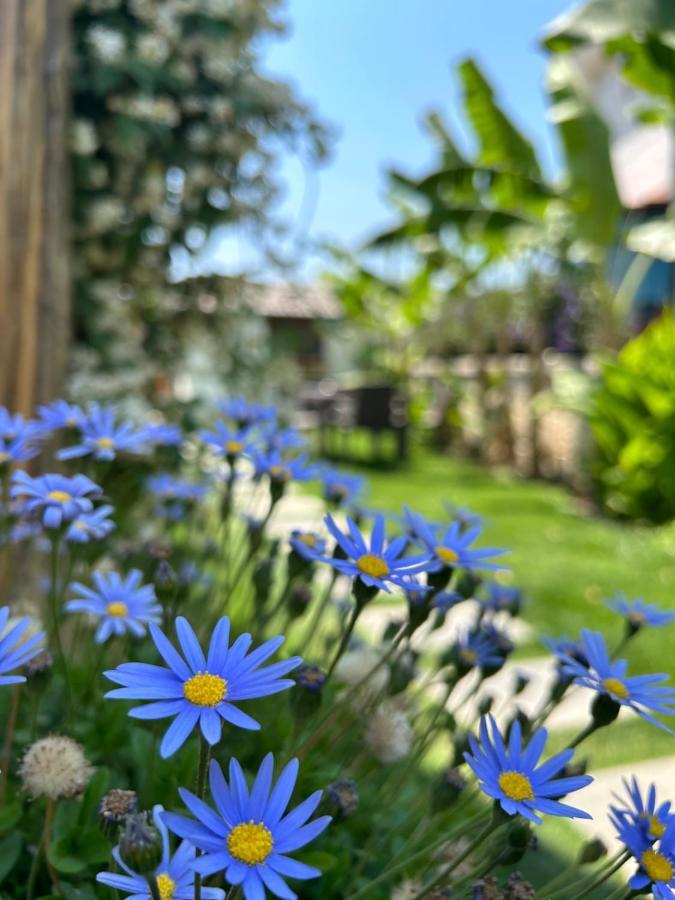 Pupa Alacati Butik Otel Чешме Екстер'єр фото